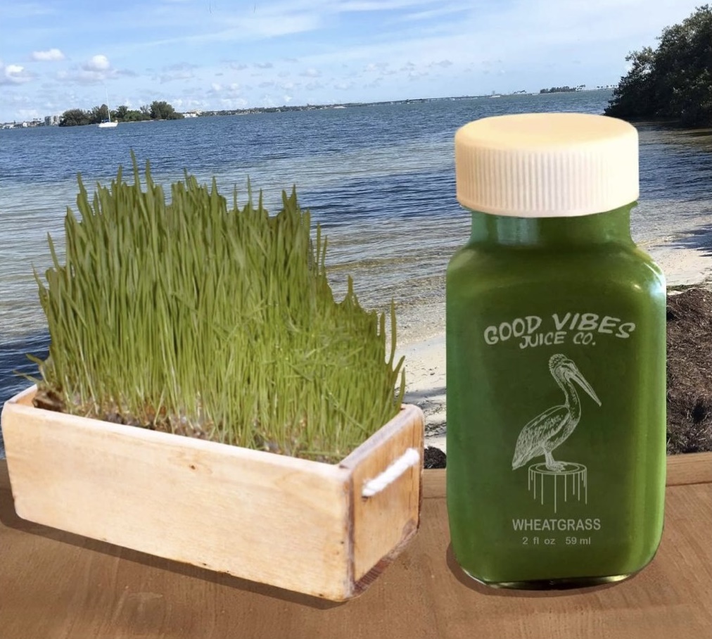 Order Wheatgrass Shot food online from Good Vibes Juice Co store, Largo on bringmethat.com
