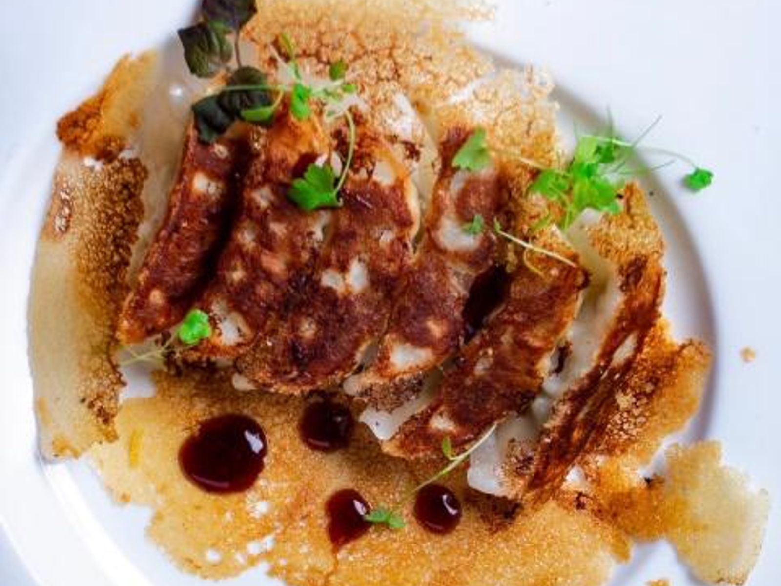 Order Gyoza or Veg Gyoza food online from Takumi Hibachi Sushi & Lounge store, Bay Shore on bringmethat.com