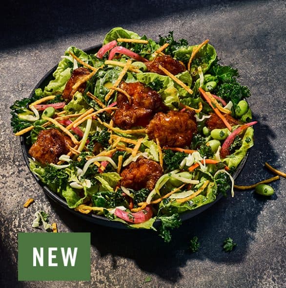 Order Kids Citrus Asian Crunch Salad With Chicken food online from Panera store, Virginia Beach on bringmethat.com