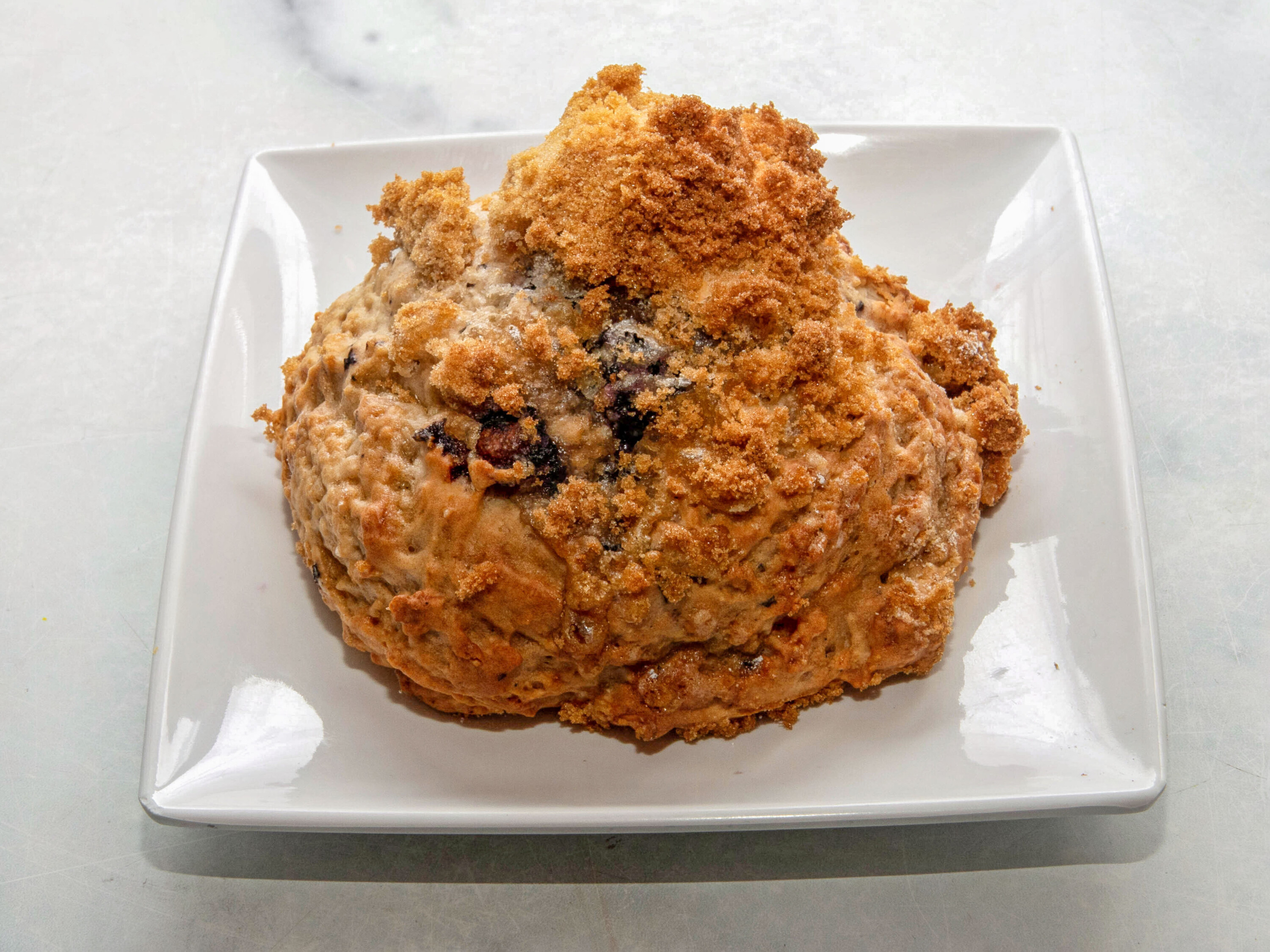 Order Blueberry Scone food online from NYC Bagel and Coffee House store, Queens on bringmethat.com