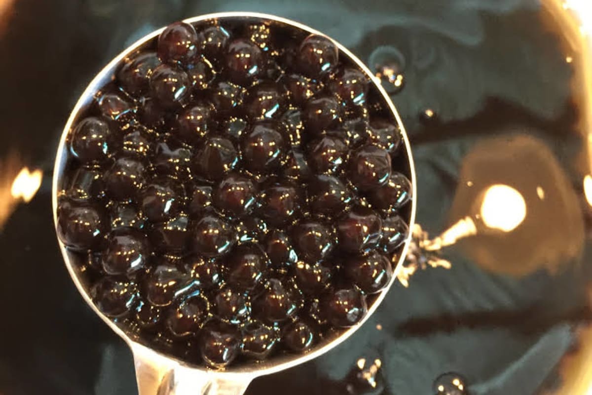 Chat Chat Boba Delivery Menu Order Online 575 East University Parkway Orem Grubhub