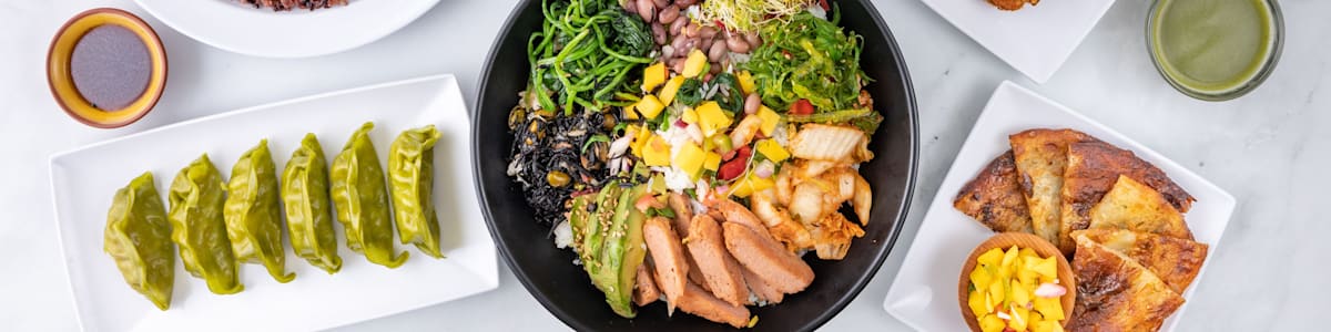 LuAnnes Wild Ginger All Asian Vegetarian Delivery Menu Order Online