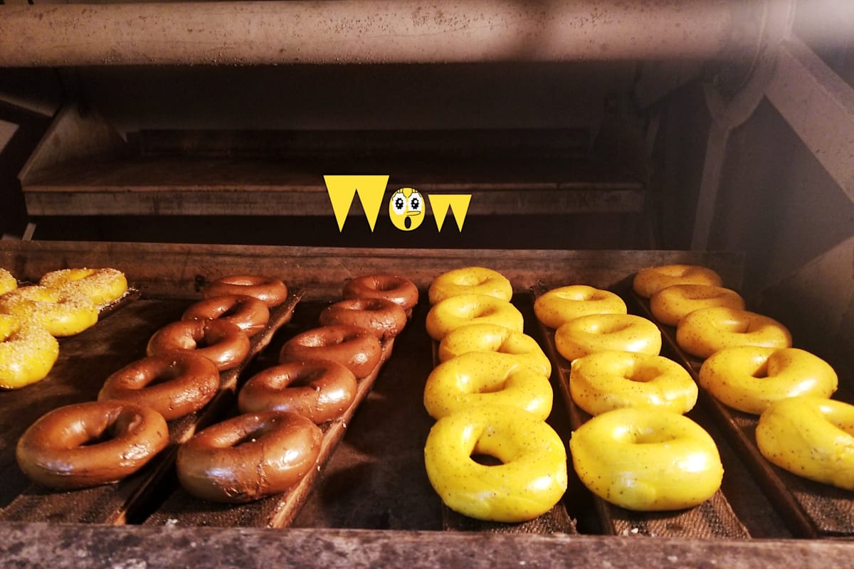 Magic Bagels Valley Stream, NY Restaurant Menu + Delivery Seamless