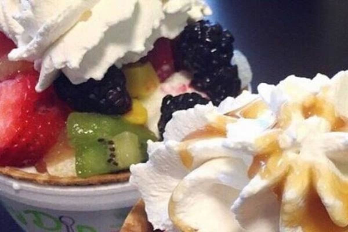 The Skinny Dip Frozen Yogurt Bar Peninsula Town Center Hampton Delivery Menu Order Online