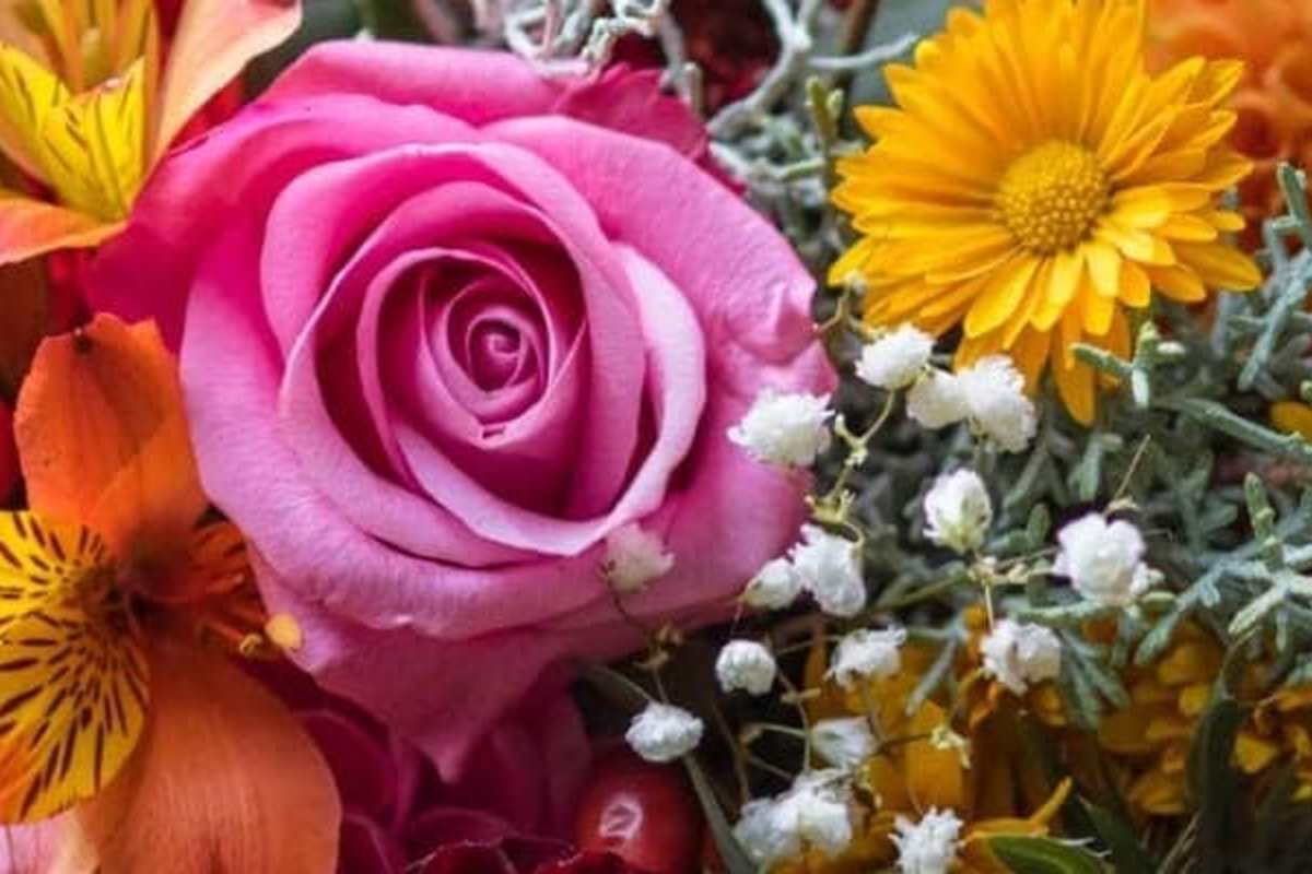 Flowers By Coley Delivery Menu Order Online 1418 Grant Ave San