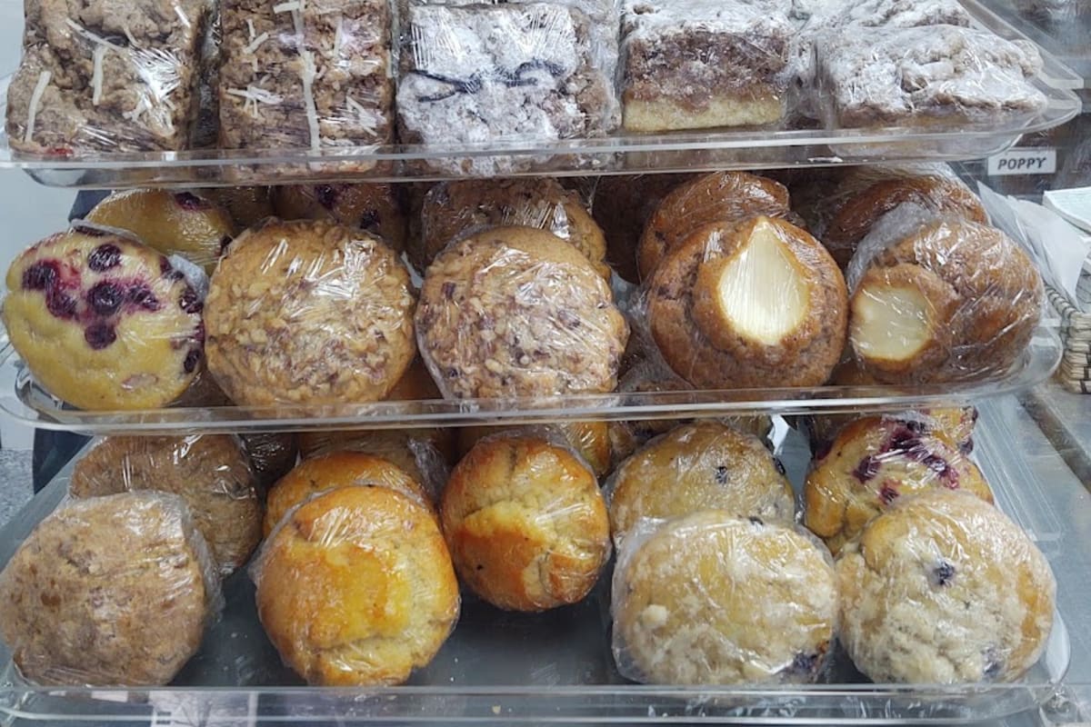 Big Belly Bagel Delivery Menu Order Online 325 Drum Point Rd Brick Grubhub