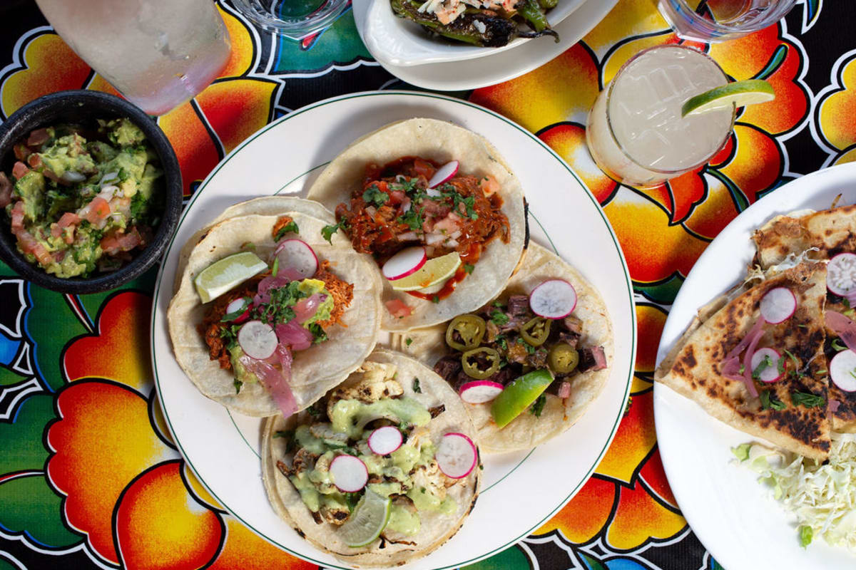 Armadillo Bar & Grill Delivery Menu Order Online 97 Abeel St