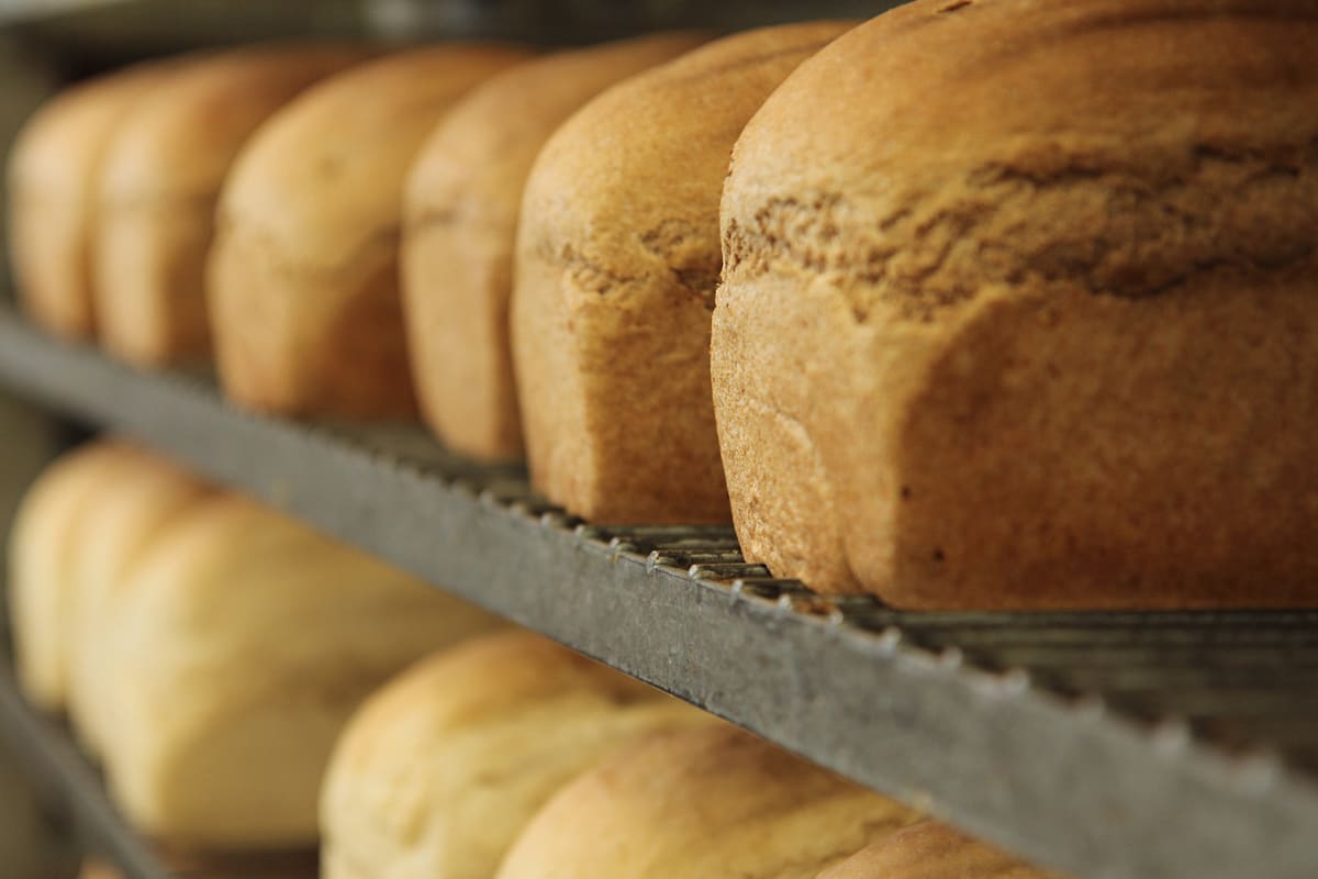 Great Harvest Bread Co. Delivery Menu Order Online 8378 W Grandridge Blvd Kennewick Grubhub