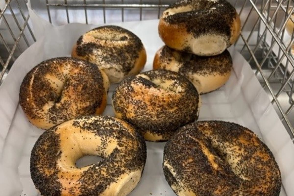 Hot Bagels, Belmar's Finest Delivery Menu Order Online 703 9th Ave