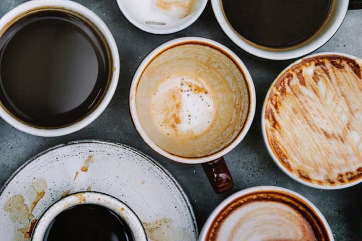 Coffee Guy Cafe Delivery Menu Order Online 6700 N Davis Hwy Pensacola Grubhub