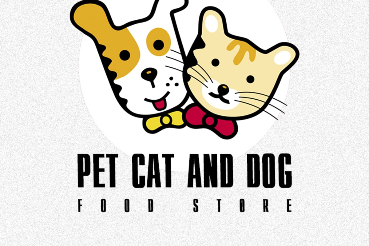 Kitten store new arrivals