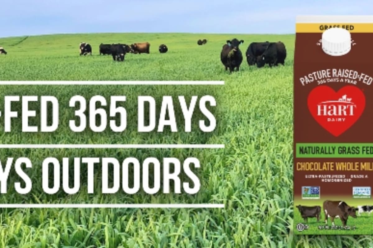 Hart Dairy Milk Delivery Menu Order Online 500 Cortlandt St