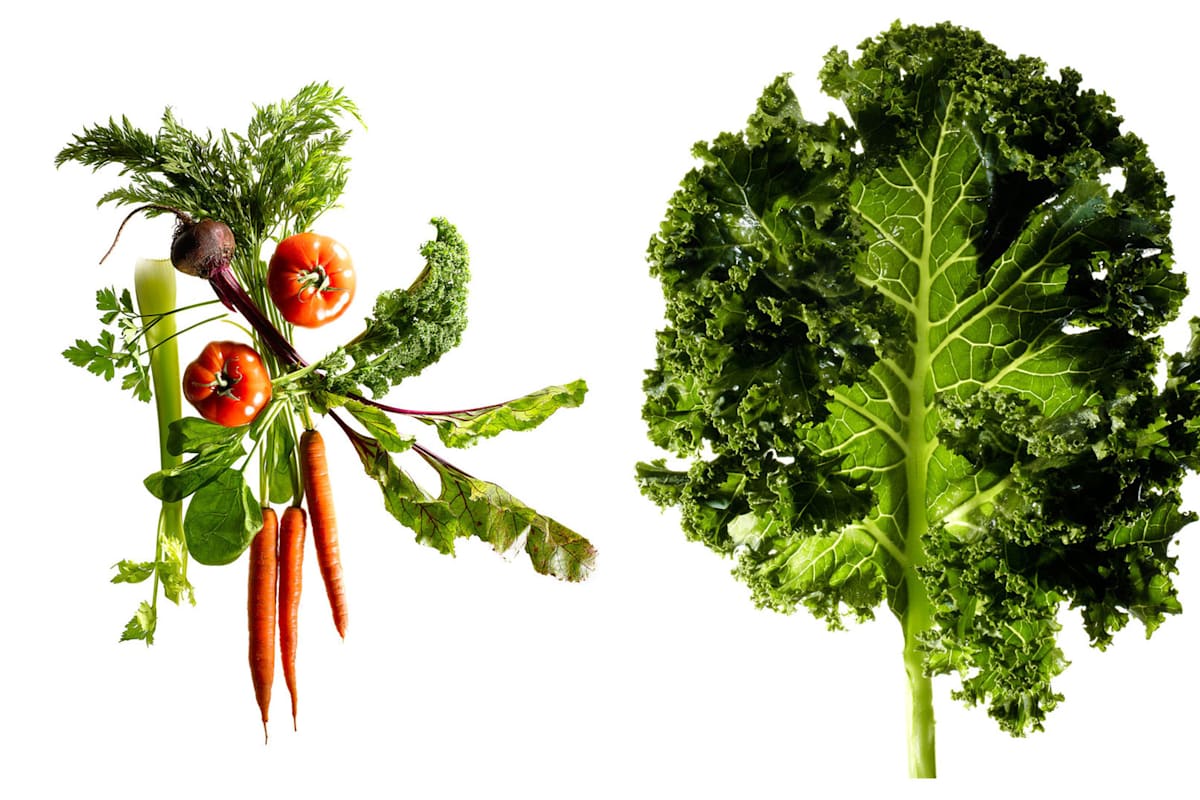 Bagels, Salads UrWay Delivery Menu Order Online 496 Clarkson Avenue