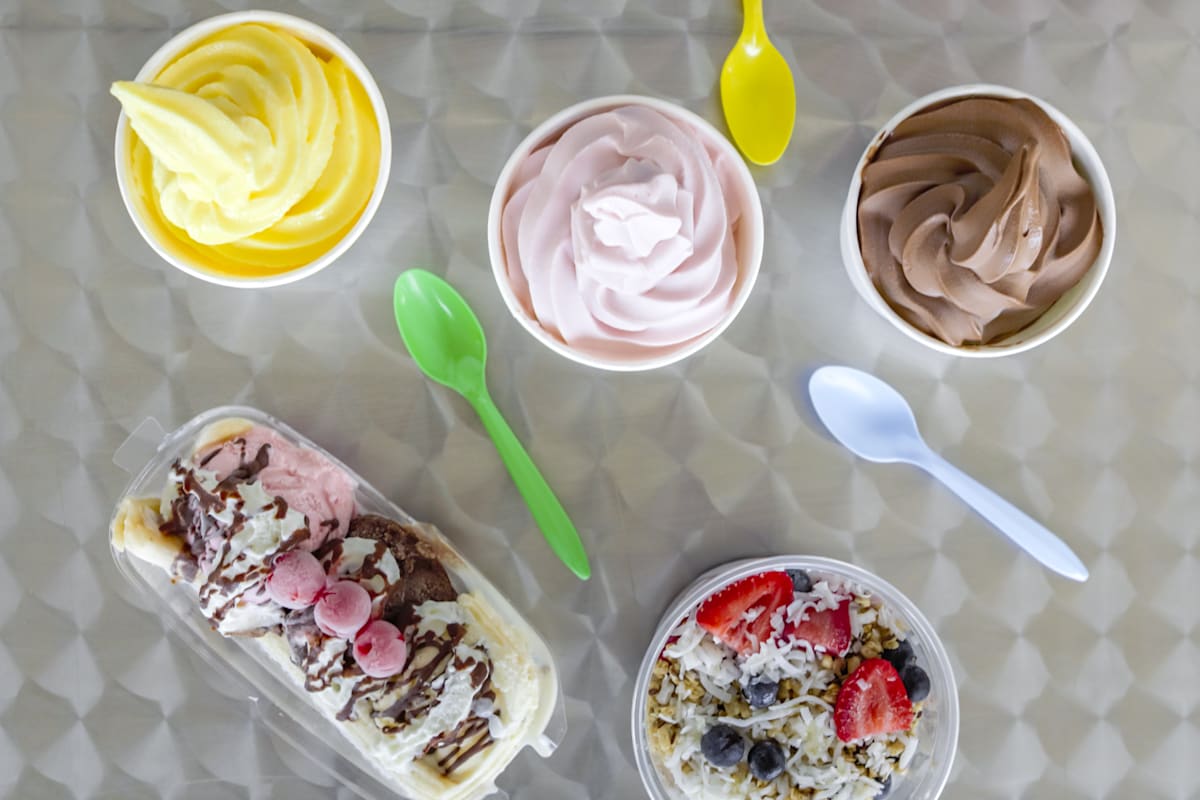 Yogurt Lounge III Delivery Menu Order Online 326 W El Norte Pkwy