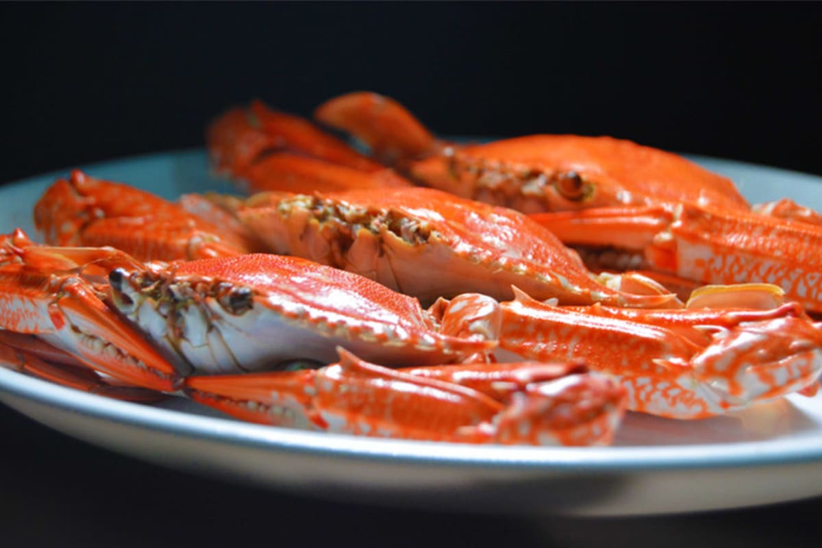 PJ Buckets Delivery Menu Order Online 115 N Dorset Ave Ventnor City