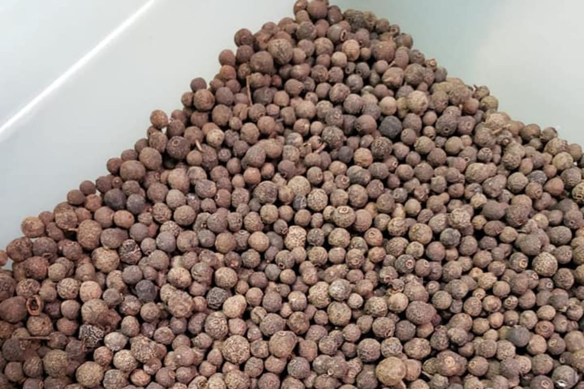 Pimento Jamaican Cuisine Delivery Menu Order Online 13742 Guy R