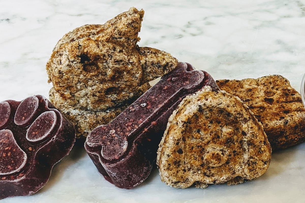 The Original Dog Treat Truck Company Thicket Delivery Menu Order Online 7800 S 1st St