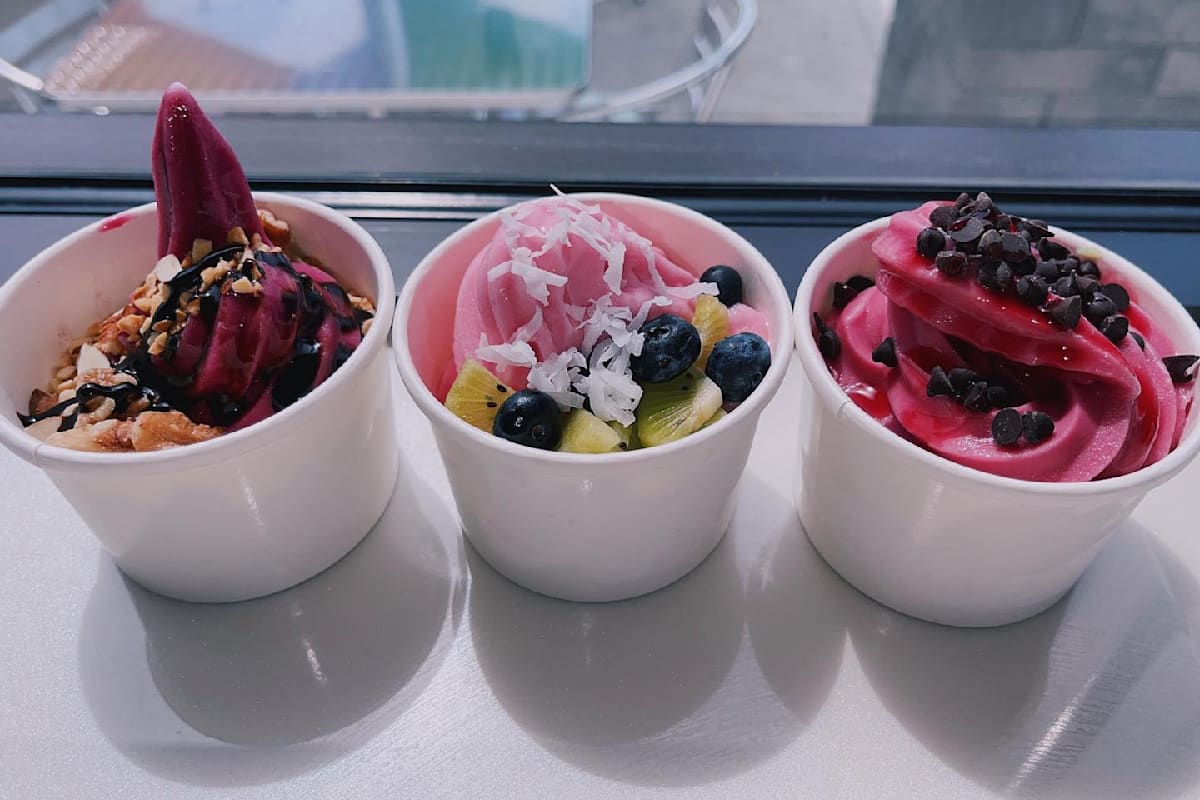 Blenderz Smoothie & Yogurt Bar Delivery Menu Order Online 4301 N