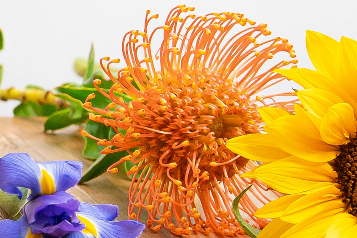 flowers Hillcrest (Operated by Rainbow Flowers) (Hillcrest) Delivery