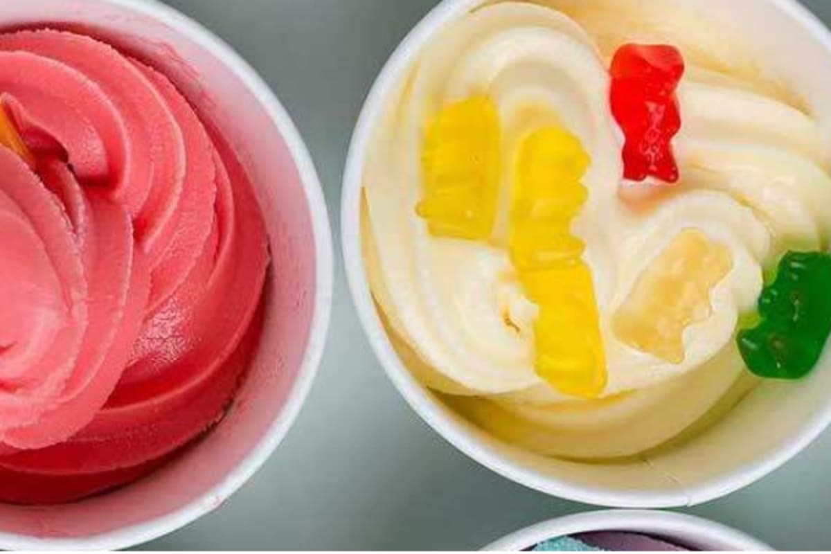 Orange Leaf Frozen Yogurt Delivery Menu Order Online 637 Lincoln orange-leaf-frozen-yogurt-delivery-menu-order-online-637-lincoln