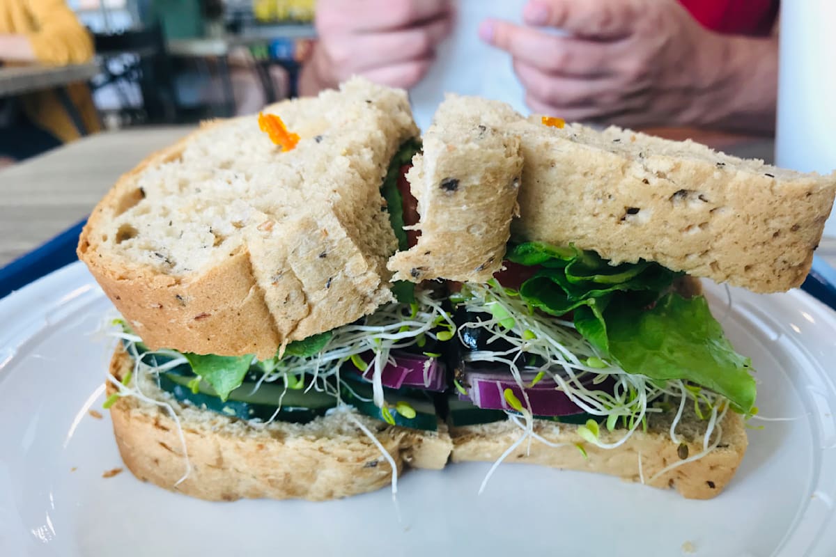 Lonni's Sandwiches Etc Delivery Menu Order Online 425 Central Ave Saint Petersburg Grubhub