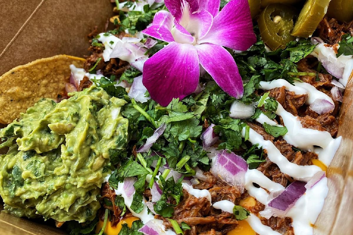 Birria Mia LLC Delivery Menu Order Online 200 Lewis Ave Meriden