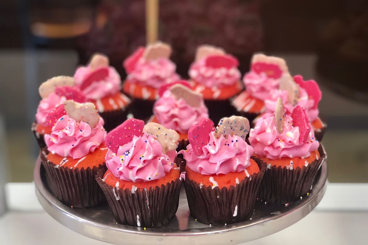 Smallcakes Delivery Menu Order Online 24437 Katy Fwy Ste 400 Katy