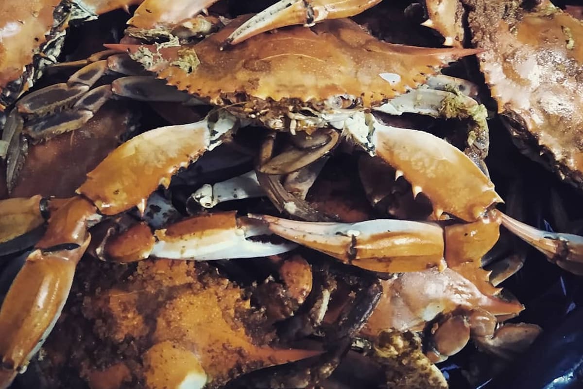 B & G Tavern Delivery Menu Order Online 14602 Livingston Rd