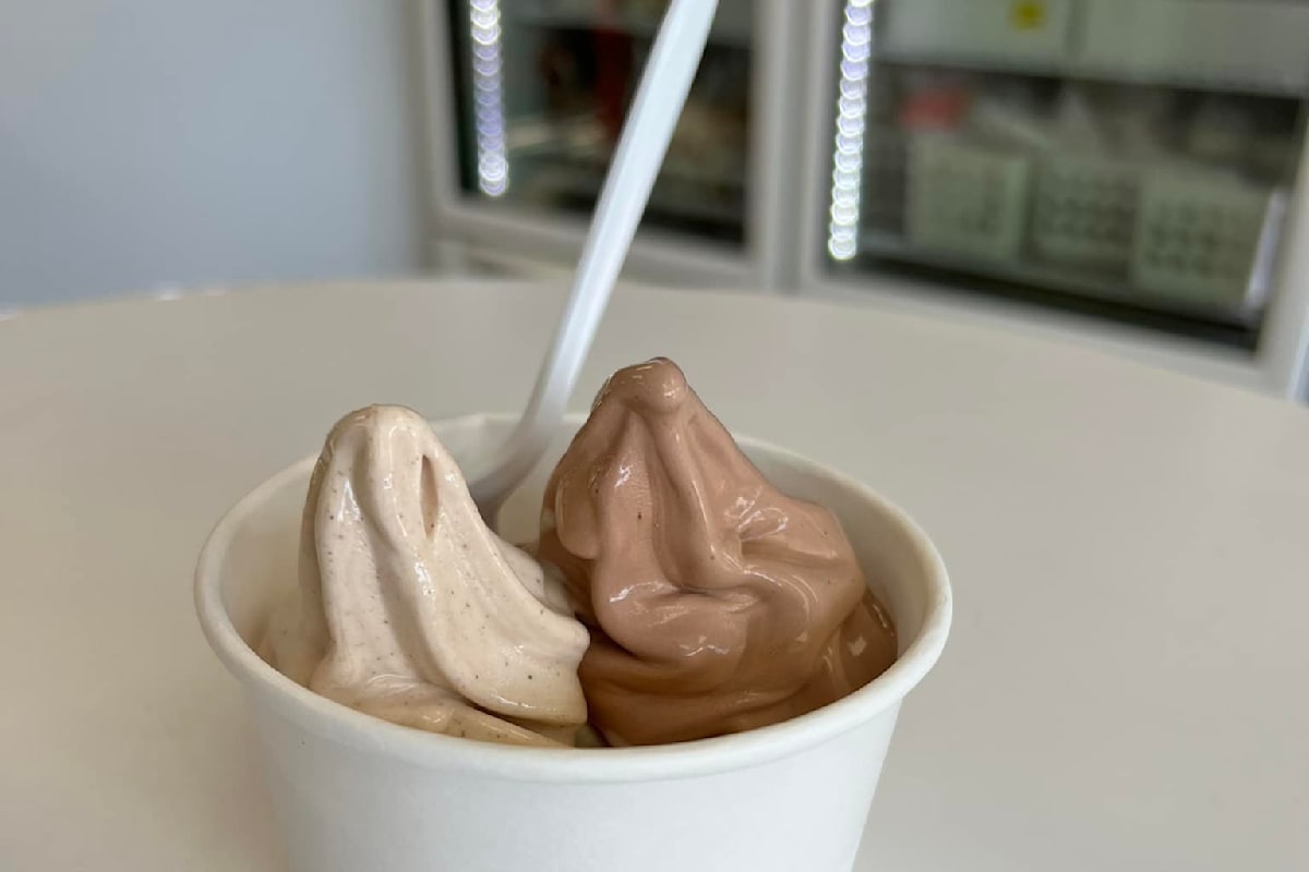 Kwality Ice Cream Shop Delivery Menu Order Online 939 S Lake Blvd