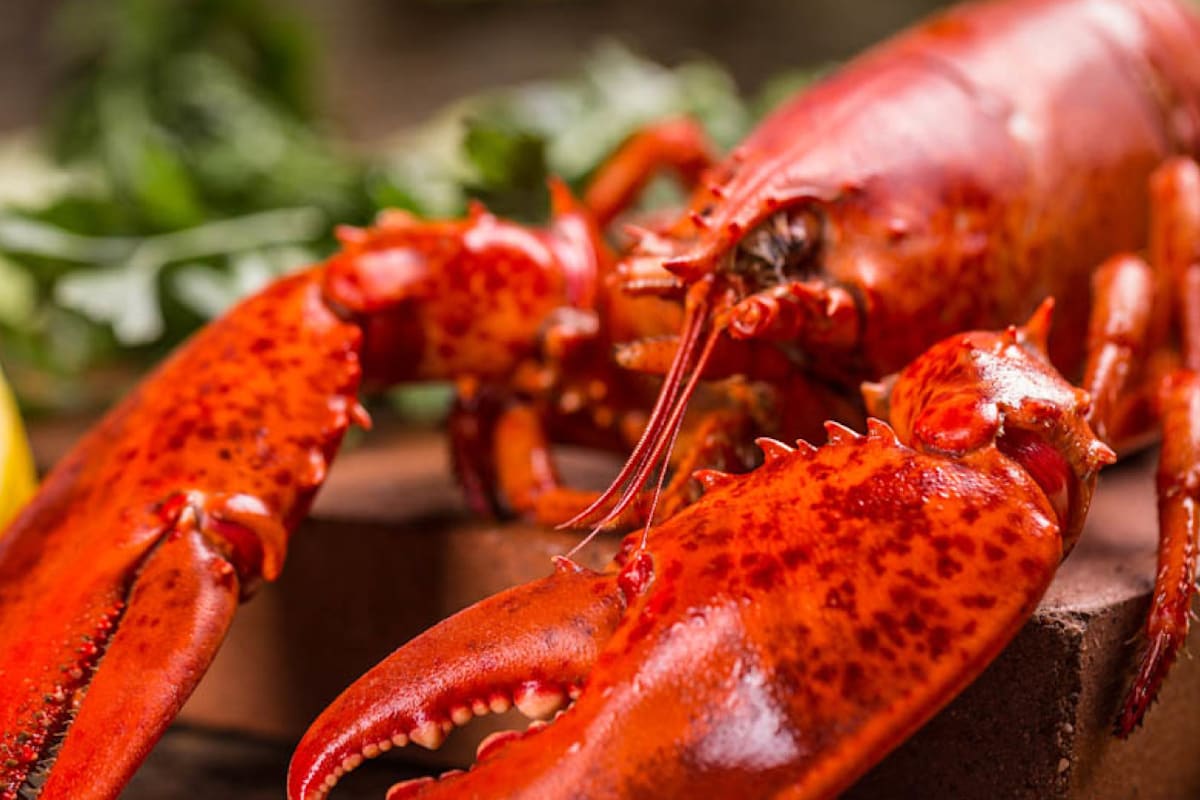 Crab Town Delivery Menu Order Online 2380 Dixwell Ave Hamden Grubhub