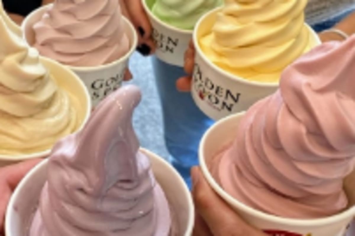 Golden Spoon Frozen Yogurt Delivery Menu Order Online 800 Avenida