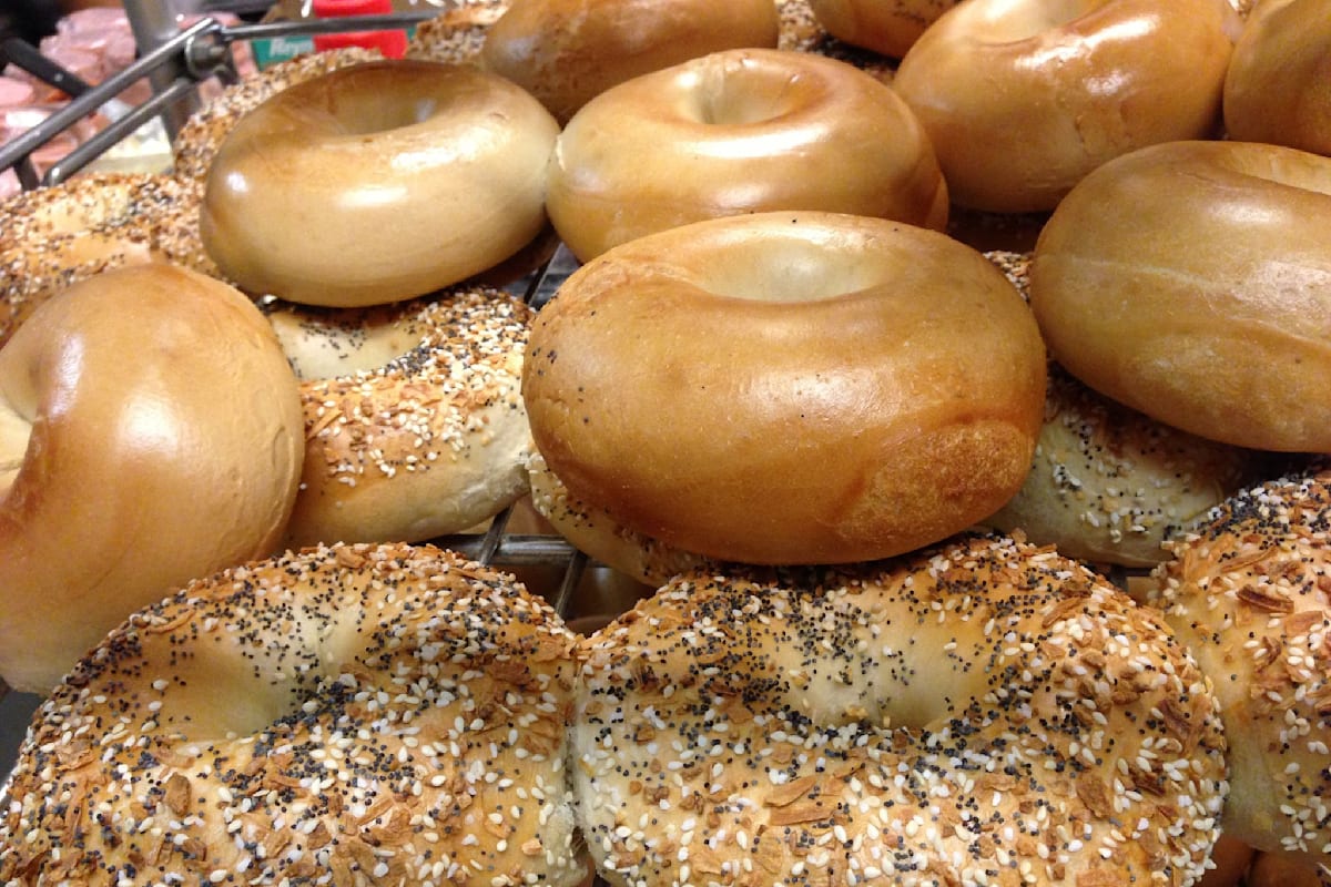 Adams Hot Bagels Plus More Delivery Menu Order Online 771 NJ15