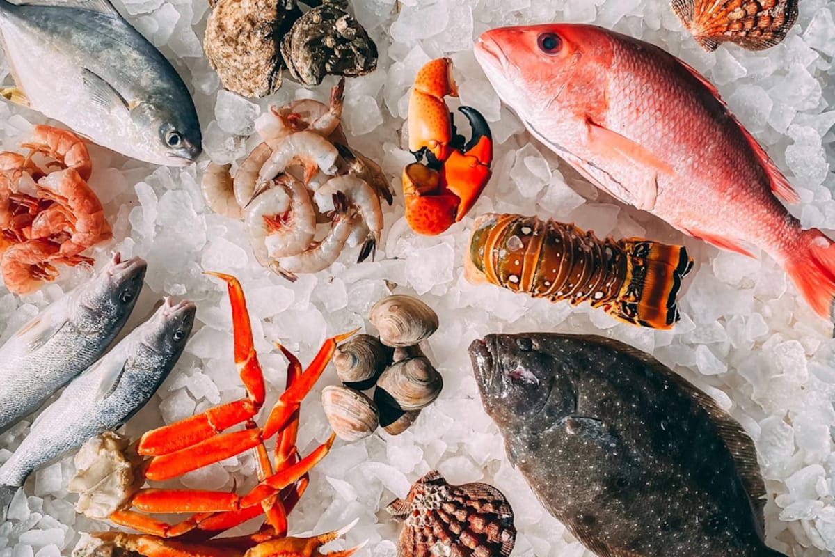 Catch and Boil Seafood Market Delivery Menu Order Online Sibley