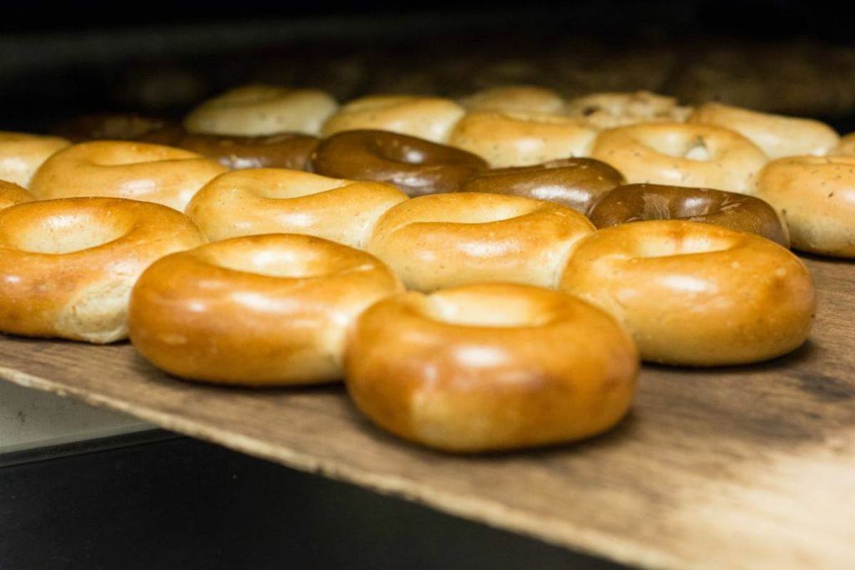 Coney Island Bagels - Brooklyn, NY Restaurant | Menu + Delivery | Seamless