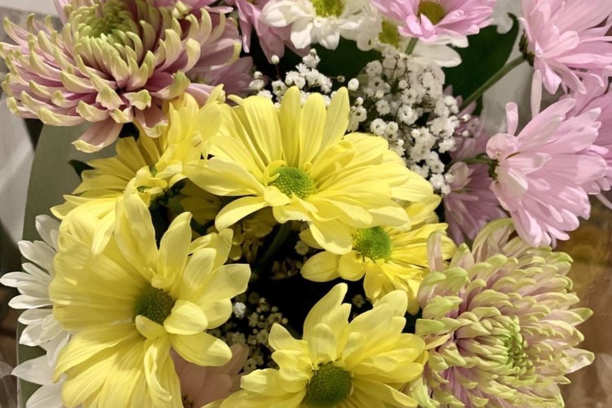 The Flower Basket Delivery Menu Order Online 6 Laurel Ave Northport