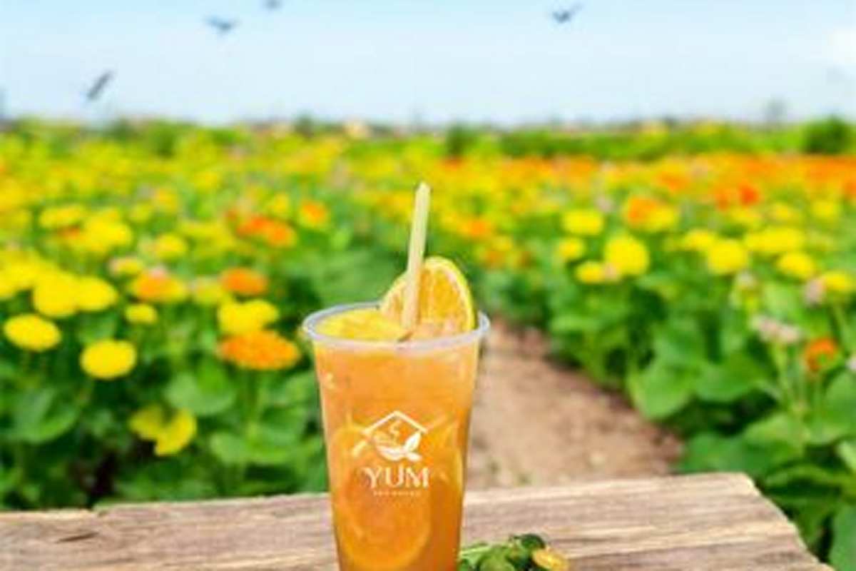 Yum Tea House Delivery Menu | Order Online | 4060 Douglas Blvd Granite ...