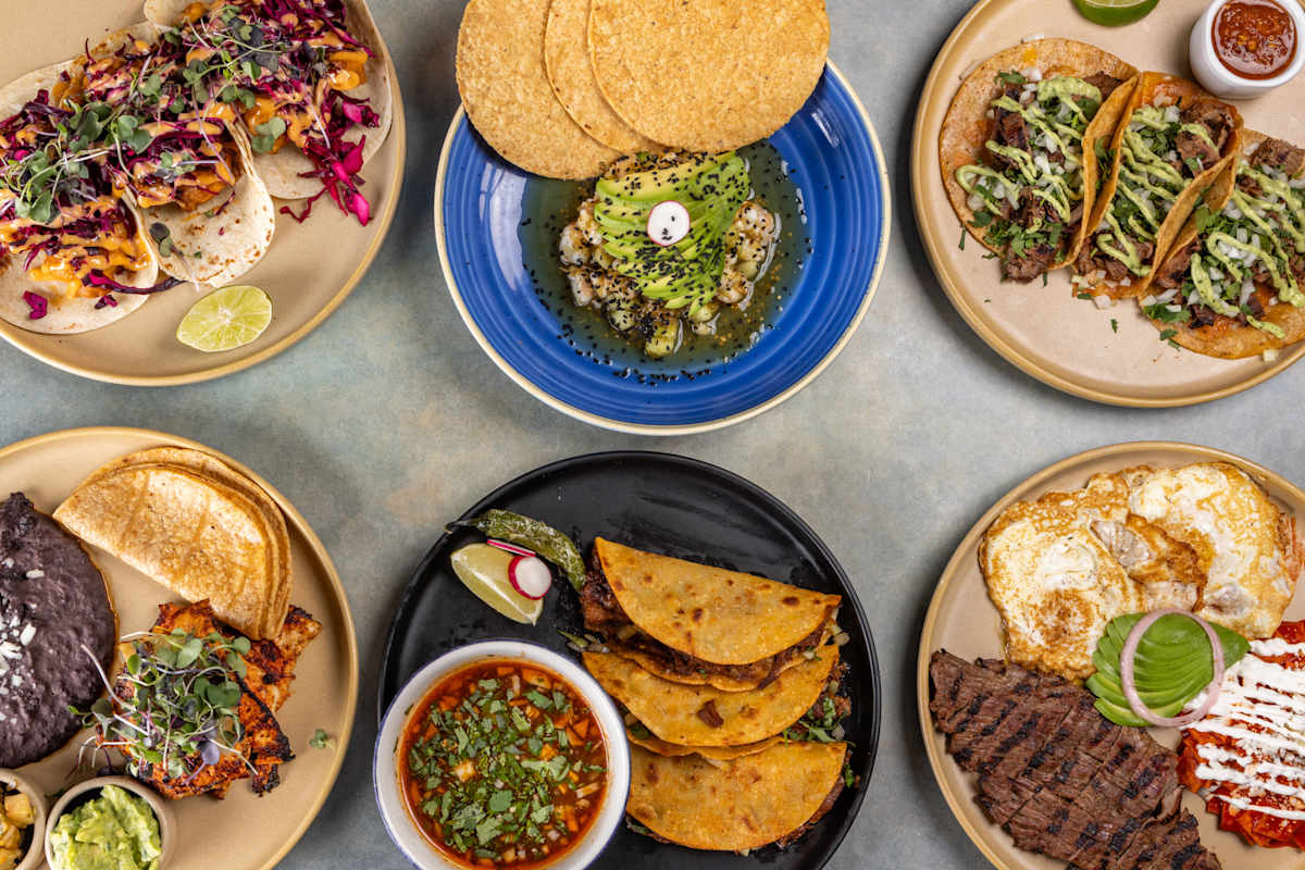 Agave Social Cocina Mexicana - Narragansett, RI Restaurant | Menu ...