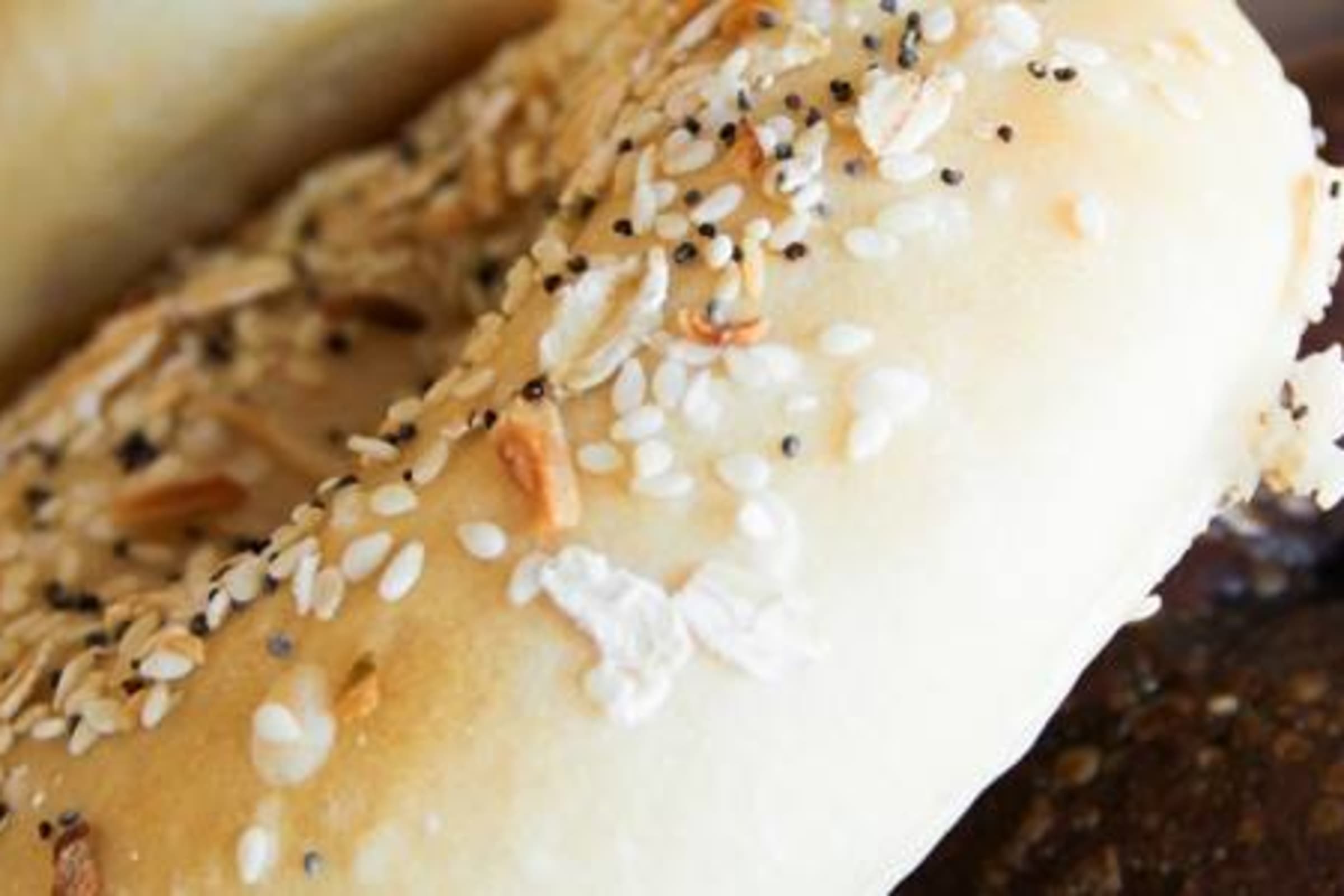 Harrison Bagels & More Delivery Menu Order Online 261 Halstead Ave