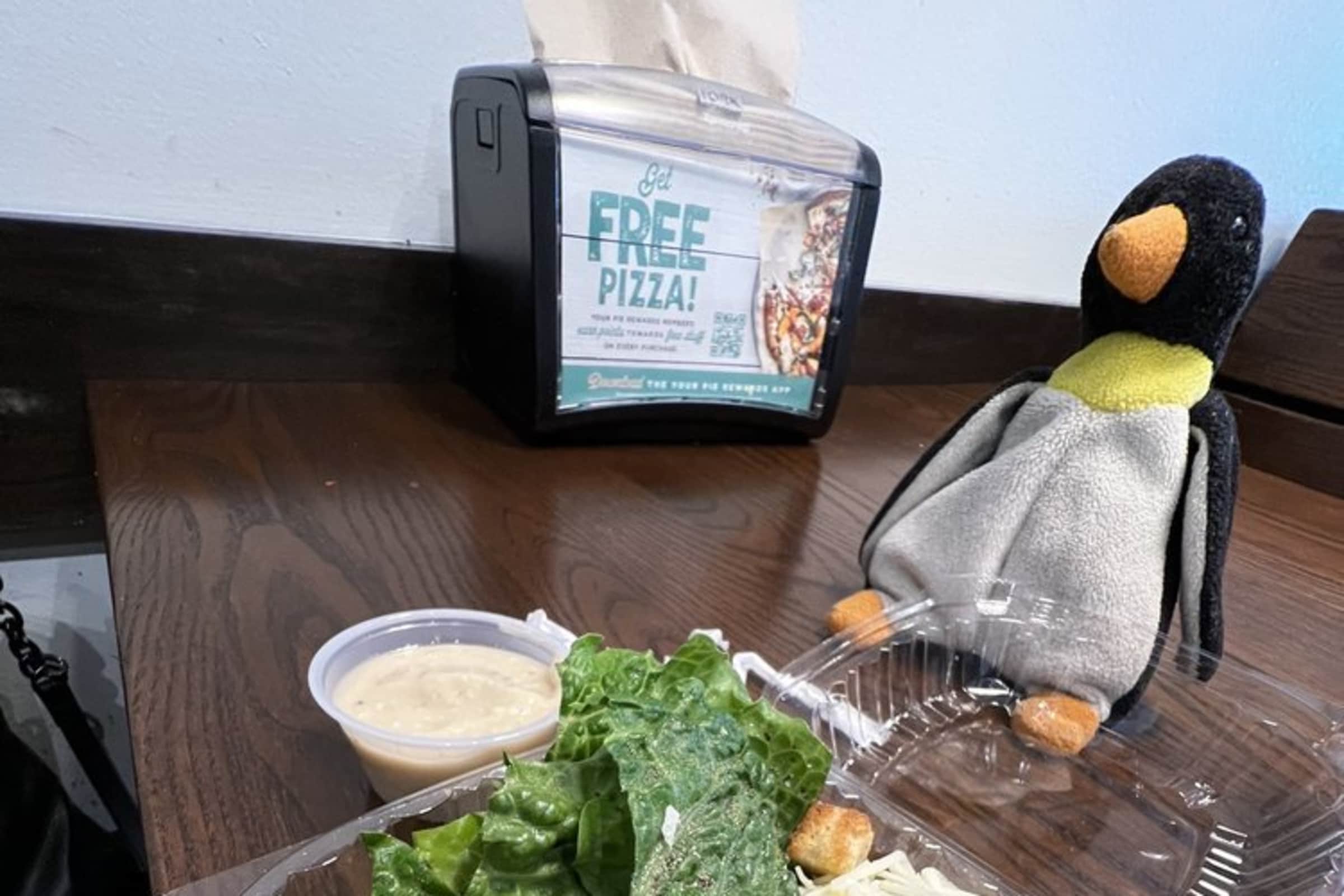 Your Pie Pizza Delivery Menu Order Online 340 Walmart Way Dahlonega