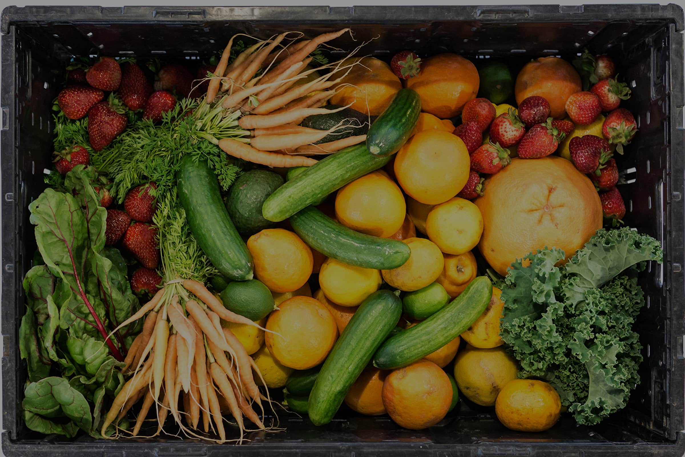 Lamberts Delivery Menu Order Online 777 Morrissey Blvd Boston Grubhub