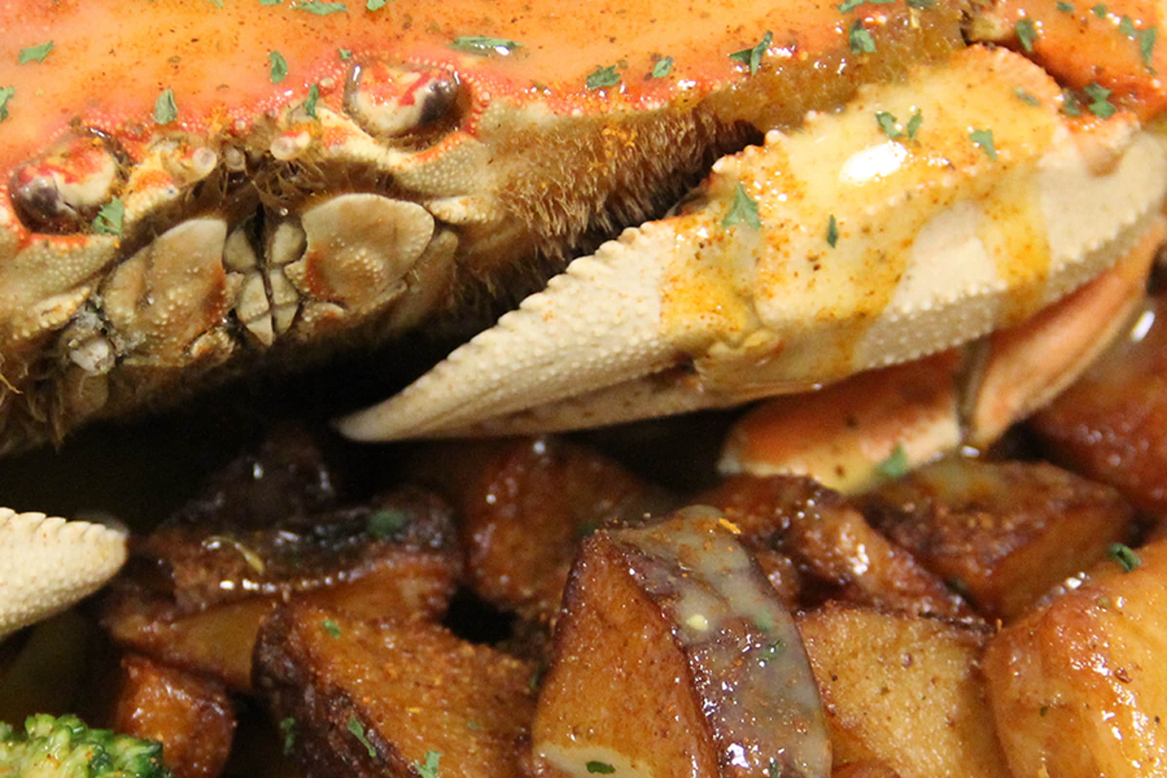 Crab Shack Delivery Menu Order Online 4800 N 16th St Philadelphia