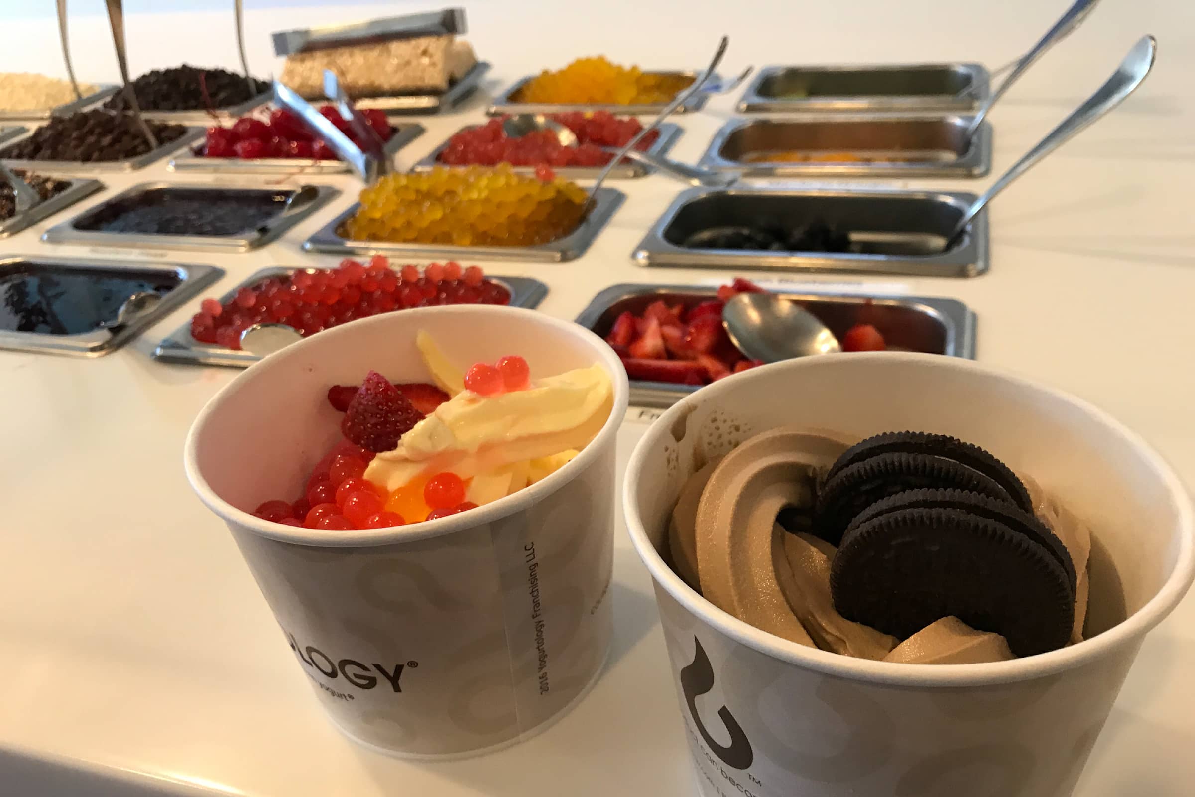 Yogurtology Delivery Menu Order Online 20241 N 67th Ave Ste A7