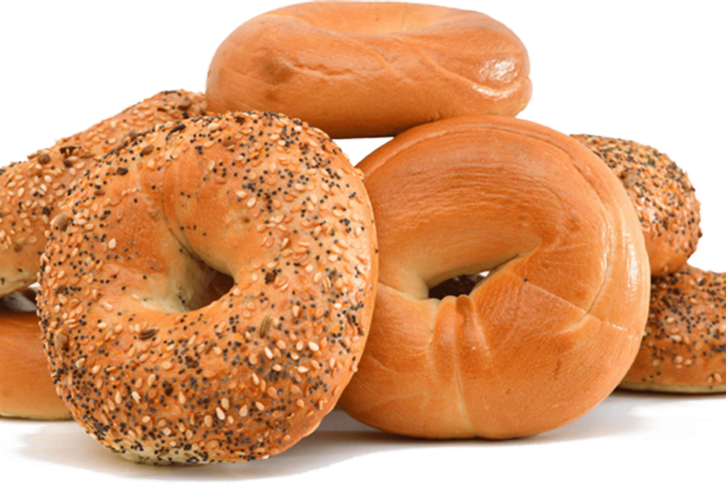 Bronx Bagel and Deli Delivery Menu Order Online 230 S Powerline Rd