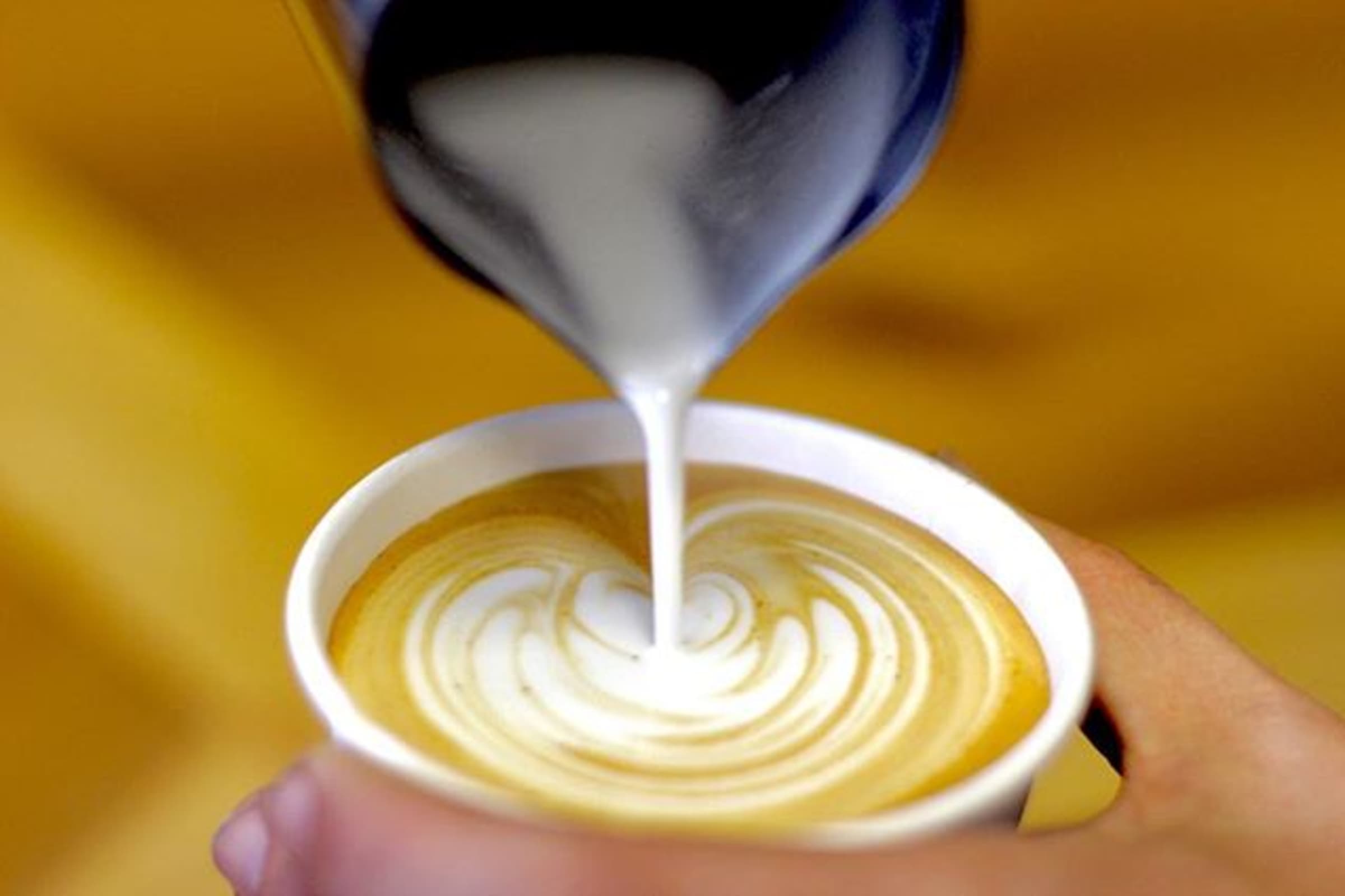 Wild Goose Coffee Roasters - Redlands, CA Restaurant | Menu + ...