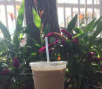 Blend Tea And Crepe Lounge Delivery 719 S University Ave Carbondale Order Online With Grubhub