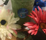 Ohana Poke Bowl Haddon Township Nj Restaurant Menu Delivery Seamless