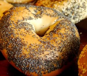 House of Bagels Delivery Menu | Order | 1712 Miramonte Mountain View | Grubhub
