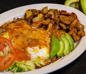 Delectable egg coupon denver