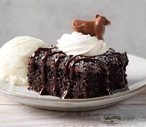 Holy Cow Chocolate Cake