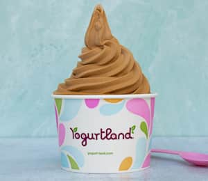 ice cream yogurtland